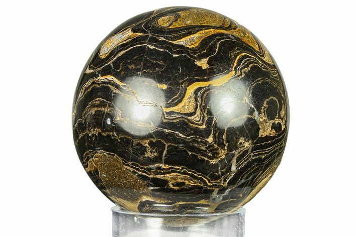 Polished Stromatolite (Greysonia) Sphere - Bolivia #302441